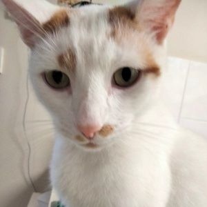 Meet your Posher, Tegan